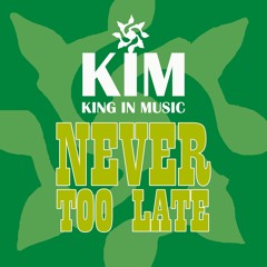 Never Too Late