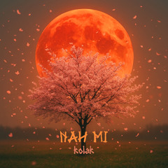 Nah mi - Kolak (Radio Edit)