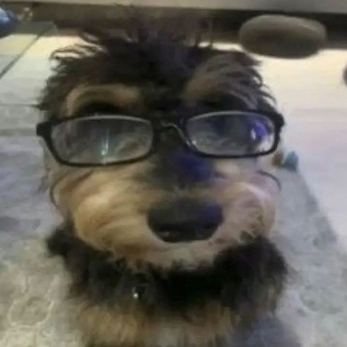 Stream O Terror De Santa Cruz Comando Vermelho União By Icaro Listen