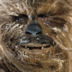 Rocka da Party on Kashyyyk  / Caveman Party Song for World Cup