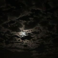 ‎⁨اضيع من عينك ورسمك ولونك🎶..⁩.mp3