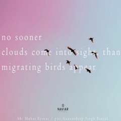 Migrating Birds [NaviarHaiku411]