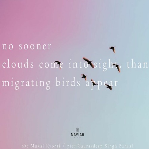 Migrating Birds [NaviarHaiku411]