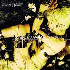 Blam Honey — Geneous Forture In The Garden(2)