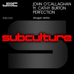 Perfection (Shogun Remix) [feat. Cathy Burton]