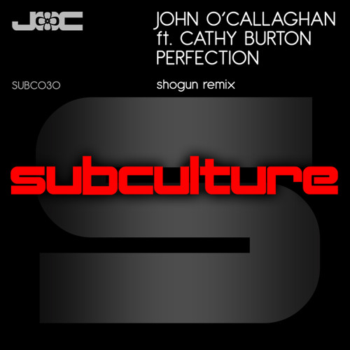 Perfection (Shogun Remix) [feat. Cathy Burton]