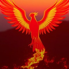 bRb x SmK - 1.8 count me out