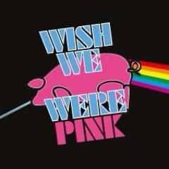 Wish We Were Pink - Hey You