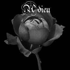 Adieu