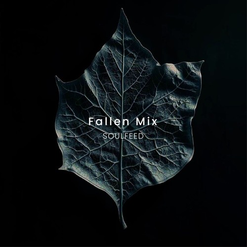 Soulfeed - Fallen Mix