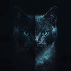 Monococ - Double Vision (Original Mix)