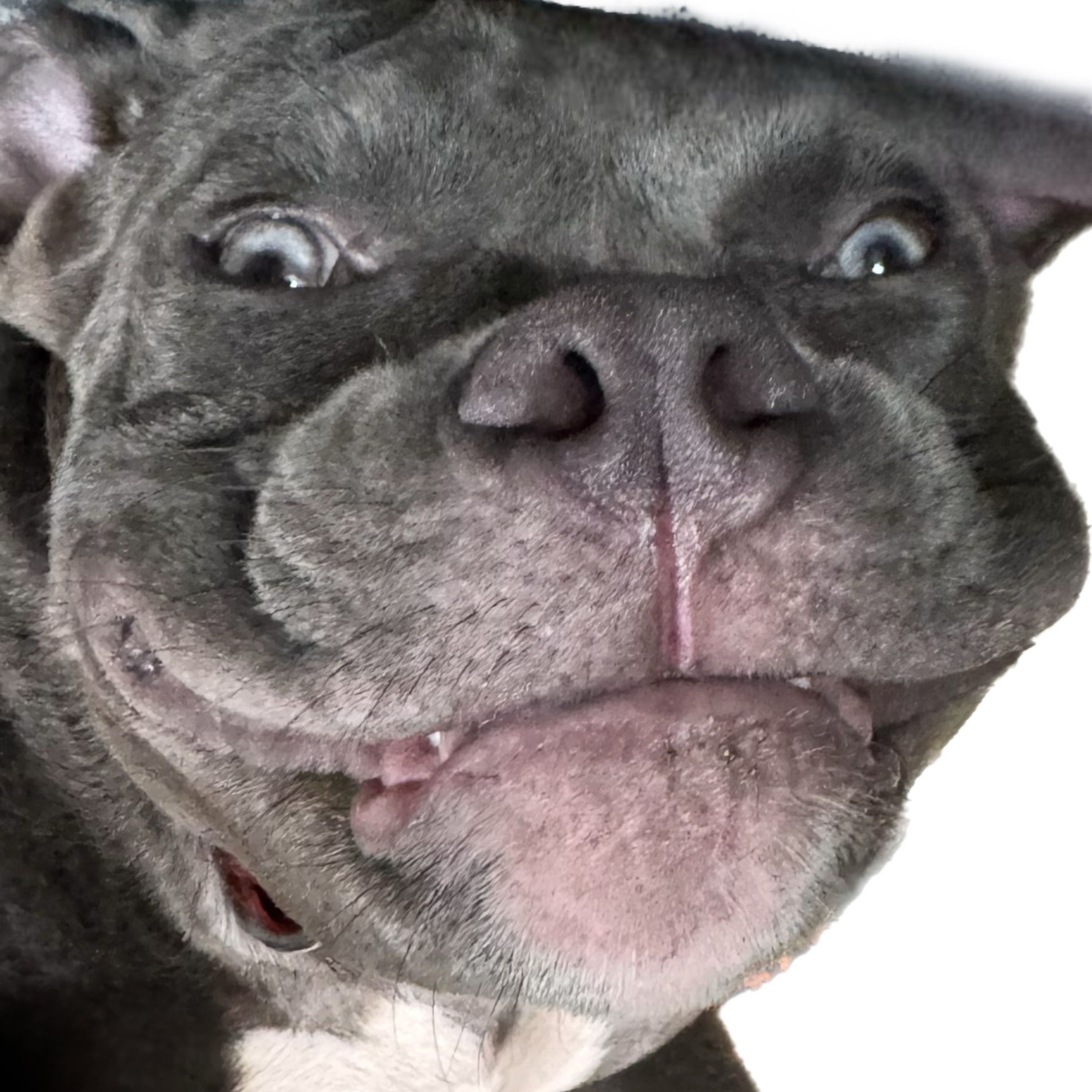 Fight or Flight _ Breakbeat and the Beast Mix