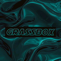 Glücksgefühle (GRASSBOX LIVE TECHNO EDIT)174BPM