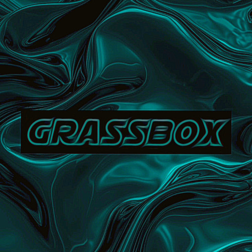 Glücksgefühle (GRASSBOX LIVE TECHNO EDIT)174BPM