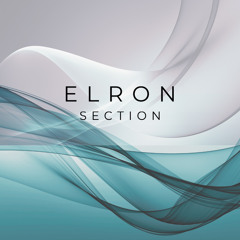 Elron - Section.wav