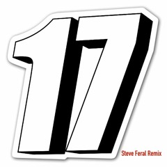 MK- 17(Steve Feral Remix)FREE DOWNLOAD