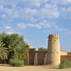 عريب - العين