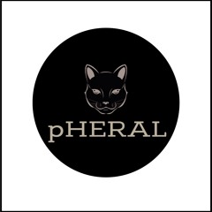 Live Analog/Modular Mixes