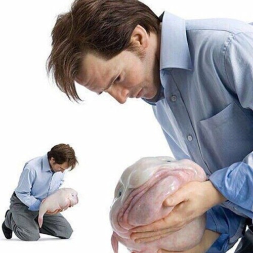 Dax rap duet but its p diddy (MY VOICE?????)