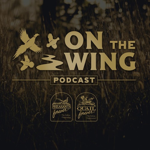 Stream EP. 285 MeatEater’s Danielle Prewett on Grasslands, Upland