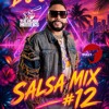 Salsa Mix #12, cover art