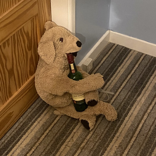 Wax-on, Wax-off #5: Hair of the dog