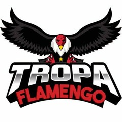 @@ MTG -  É PUTARIA NO MURUBA x SUCESSADA COM A TROPA DO FLAMENGO - [ DJ GL DO LIMÃO ]