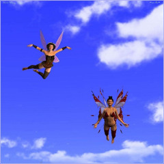 Flying Free