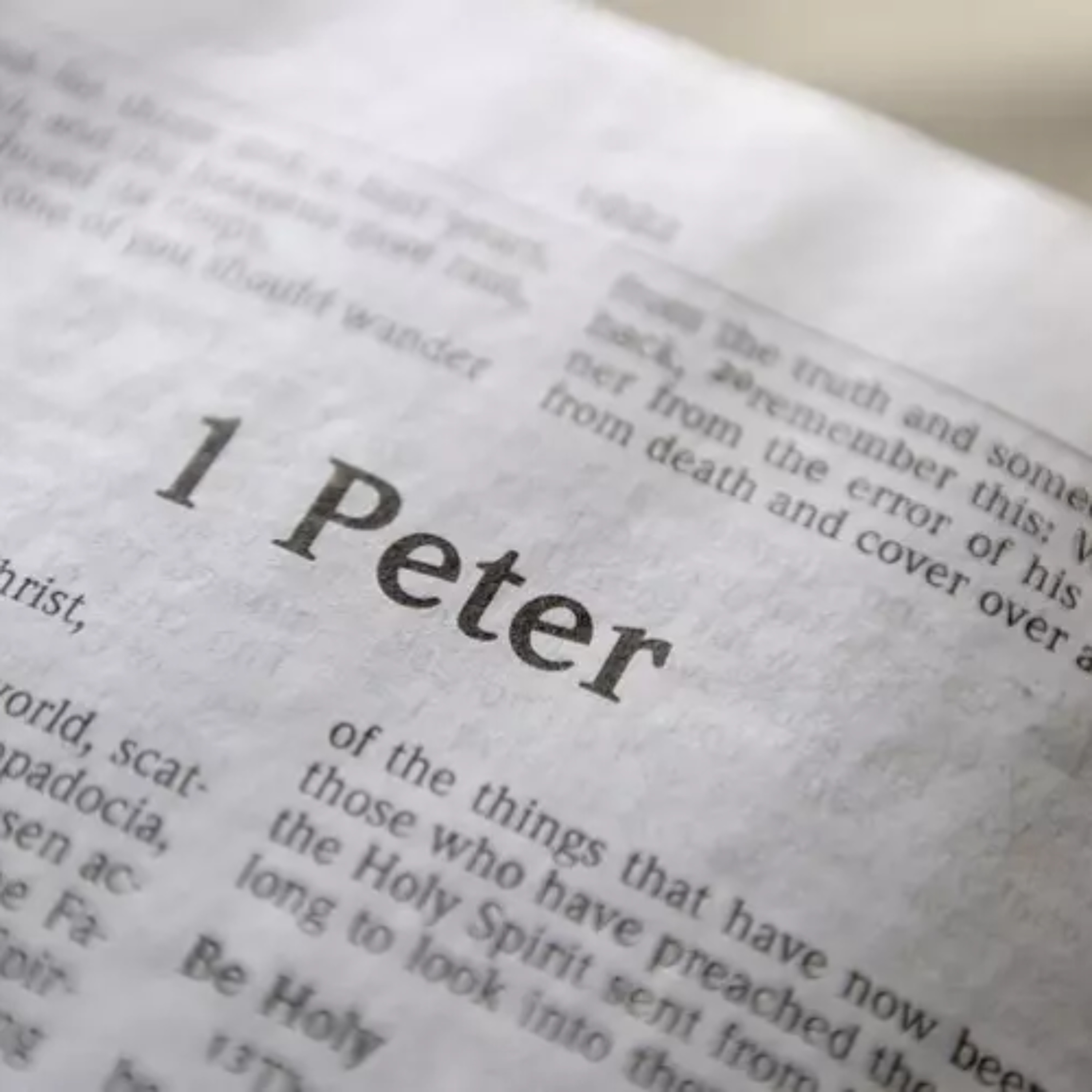 Leading & Serving - 1 Peter 4:8-11, 5:1-6 - Wednesday 19th November 2025 - Steve Kelly episode artwork