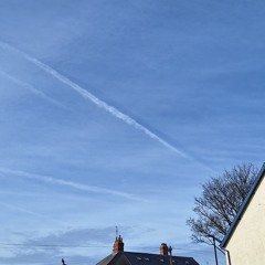 First Sign of Spring