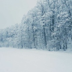 흰 눈(데모) White Snow