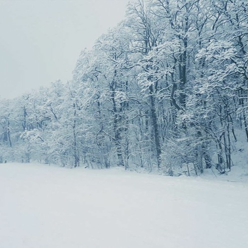 흰 눈(데모) White Snow