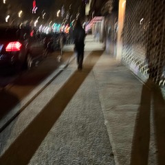 We said goodbye in Tokyo  55°N 12°E