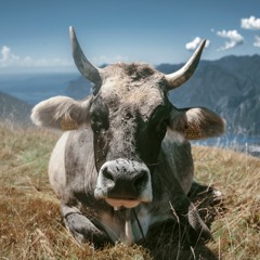 RAP Type beat / Particelle di Rusakov / CHILL secco