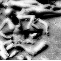 biggest hater (demo)