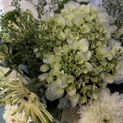 Miniset Chít Mớt 2025 | Dinh Nguyen |