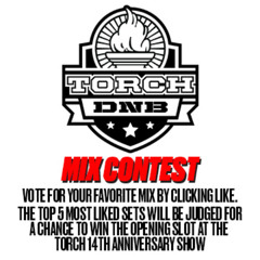 Acidion - Torch Mix Contest Submission