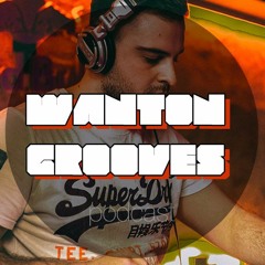 Wanton Grooves Podcast #72 (For the love of House) 26.06.2022.