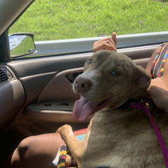 The End- Cha Chingg x Fcc Luvv