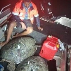 Les Long Mi 🔥🍻