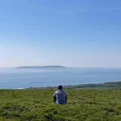 In the Heat of the Night