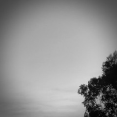 Sadness Dissipates To A Comfortable Haze