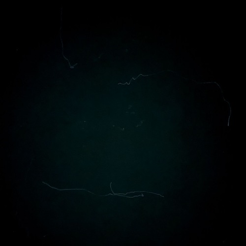 To Surpass Constellations - Live Performance