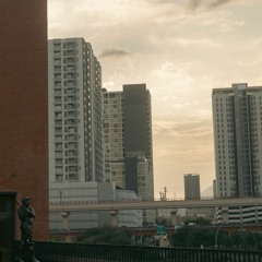 6 años