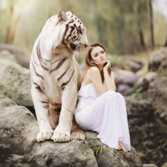 Tigers Tail (2023) Anthology CD3 Track 10