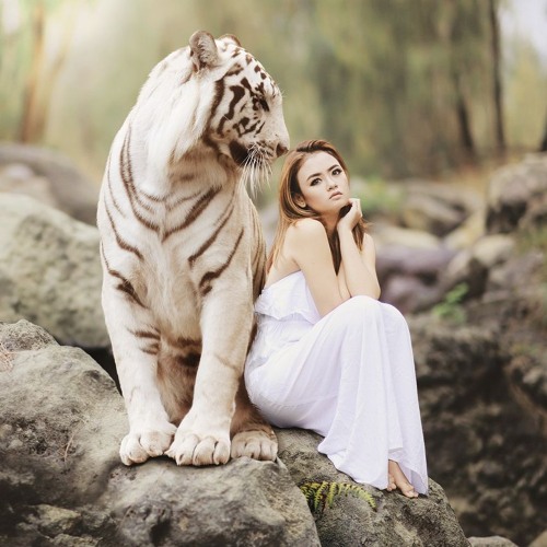 Tigers Tail (2023) Anthology CD3 Track 10