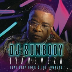 Iyamemeza (feat. Drip Gogo & The Lowkeys)