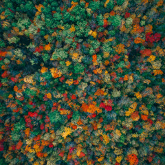 Russ Ryan - 02 November 2025