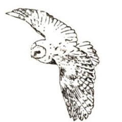 Red Room ft. oseff & 700myles