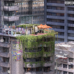 Dzeni - The Vibe